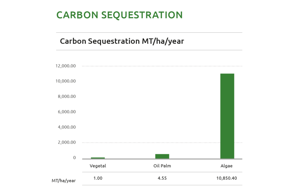 Carbon Sequestration with Algae using Next Gen Oil Technology