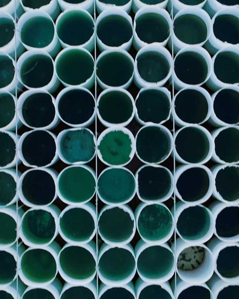 Next Generation Oil - Algae Cultivation and Harvest
