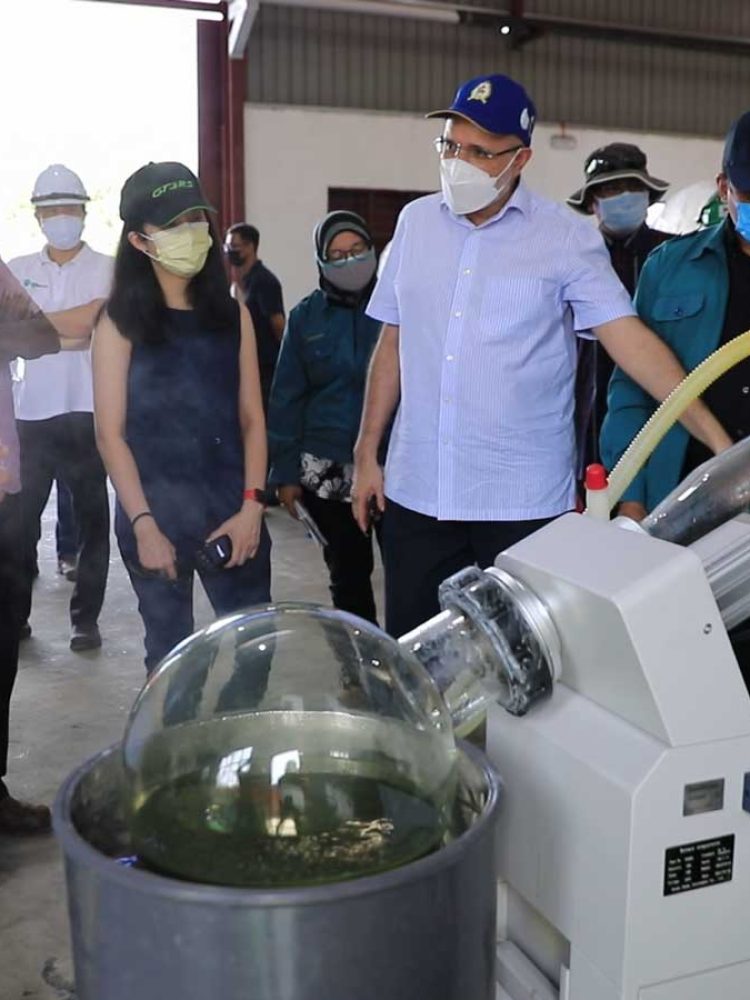 Next Generation Oil - Algae Oil Cultivation Plant - Moiz
